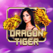 Dragon Tiger live table on d9d9 game